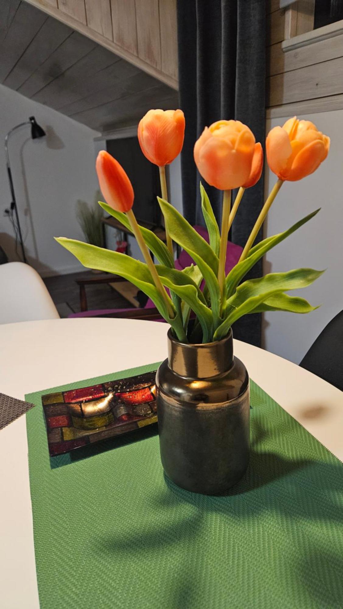 Studio Apartman Gradna Samobor Extérieur photo
